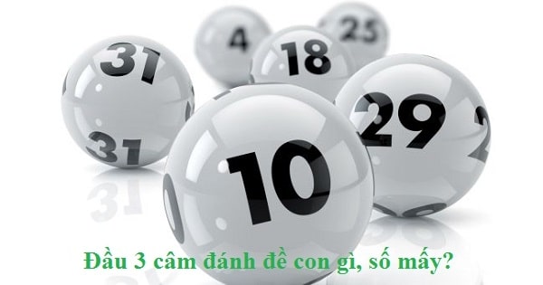 Mẹo nuôi từ các đầu lô câm hay về Mẹo nuôi từ các đầu lô câm hay về